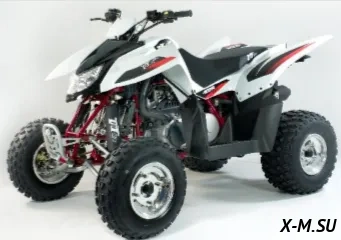  Квадроцикл ACCESS SP 300 SPORT