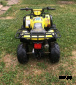 Квадроцикл ABM NINJA 110