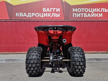Квадроцикл PROMAX WILD 175 BASIC