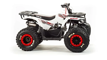 Квадроцикл MOTOLAND (МОТОЛЕНД) 125 WILD