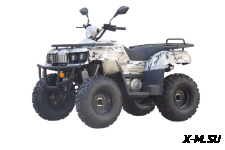 Квадроцикл UNIVERSAL Hammer 2 (200)