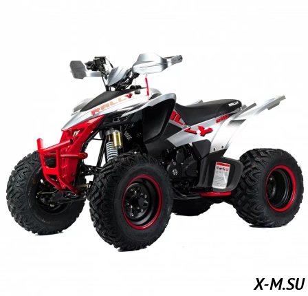 Квадроцикл MOTOLAND (МОТОЛЕНД) 250 RALLY