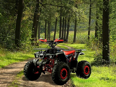 Квадроцикл PROMAX WILD 190 PRO-LINE