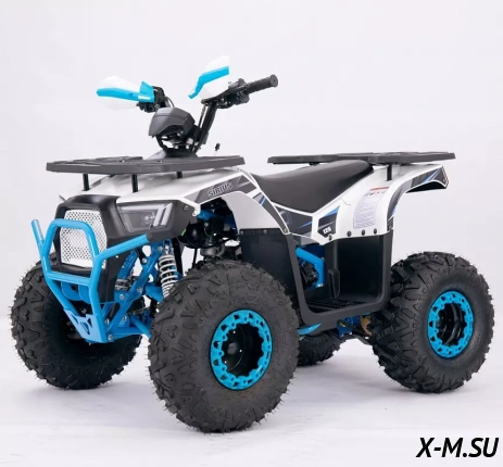 Квадроцикл  YACOTA SIRIUS 110			 			